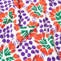 Rok Frischluft - Everything in Sunny Sunray - Blutsgeschwister