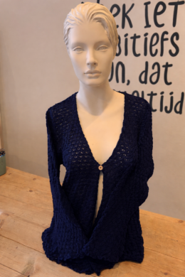 Vest Lily Ajour - Navy - Bindi